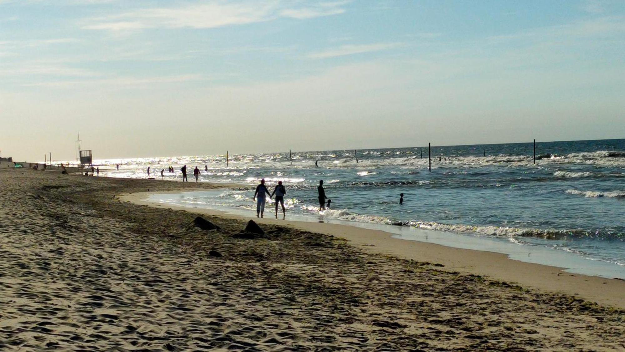 Hund Im Glueck Wangerooge