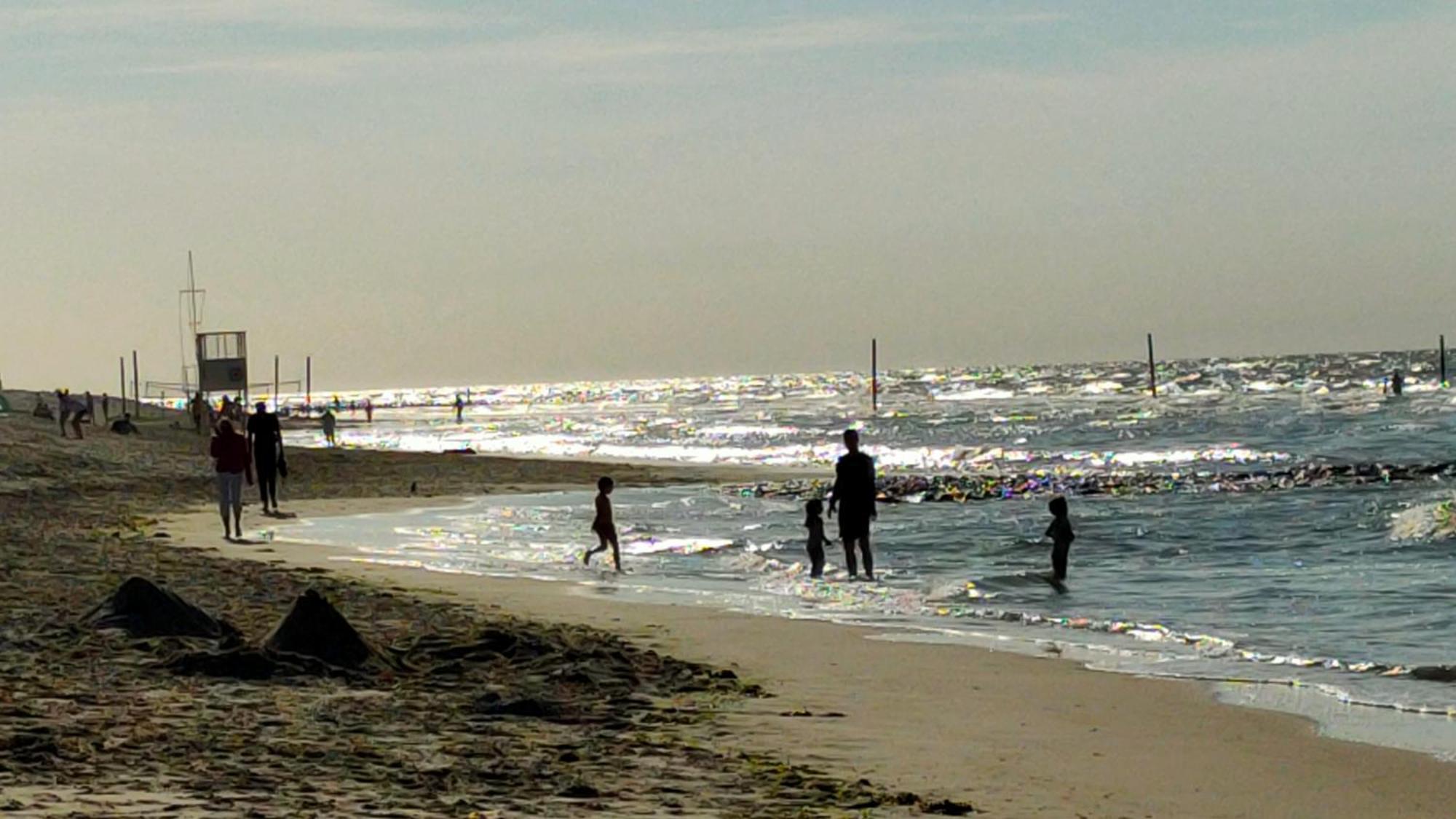 Hund Im Glueck Wangerooge
