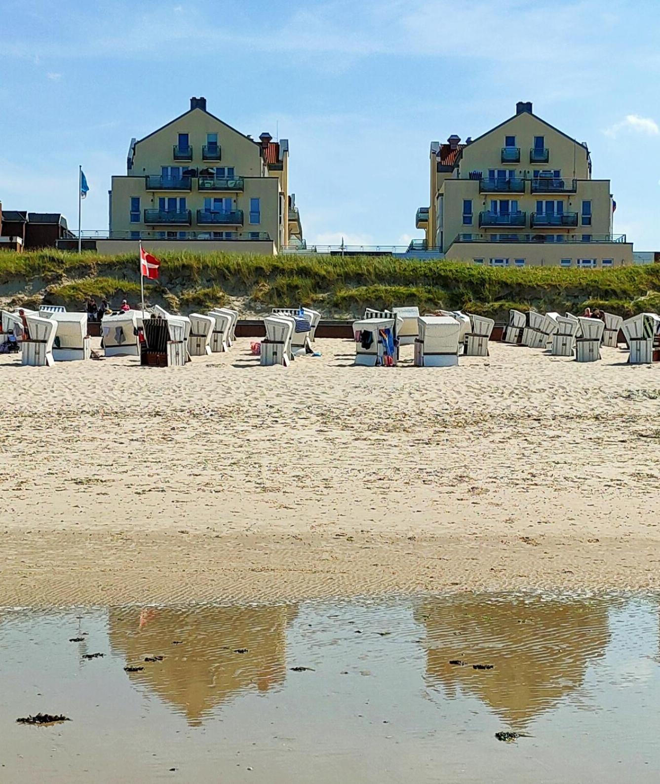 Hund Im Glueck * Wangerooge